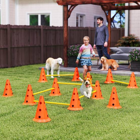Obstacles d'agilité pour chien ABS orange 80 x 22.5 x 30 cm - PANGIVO - Image 3