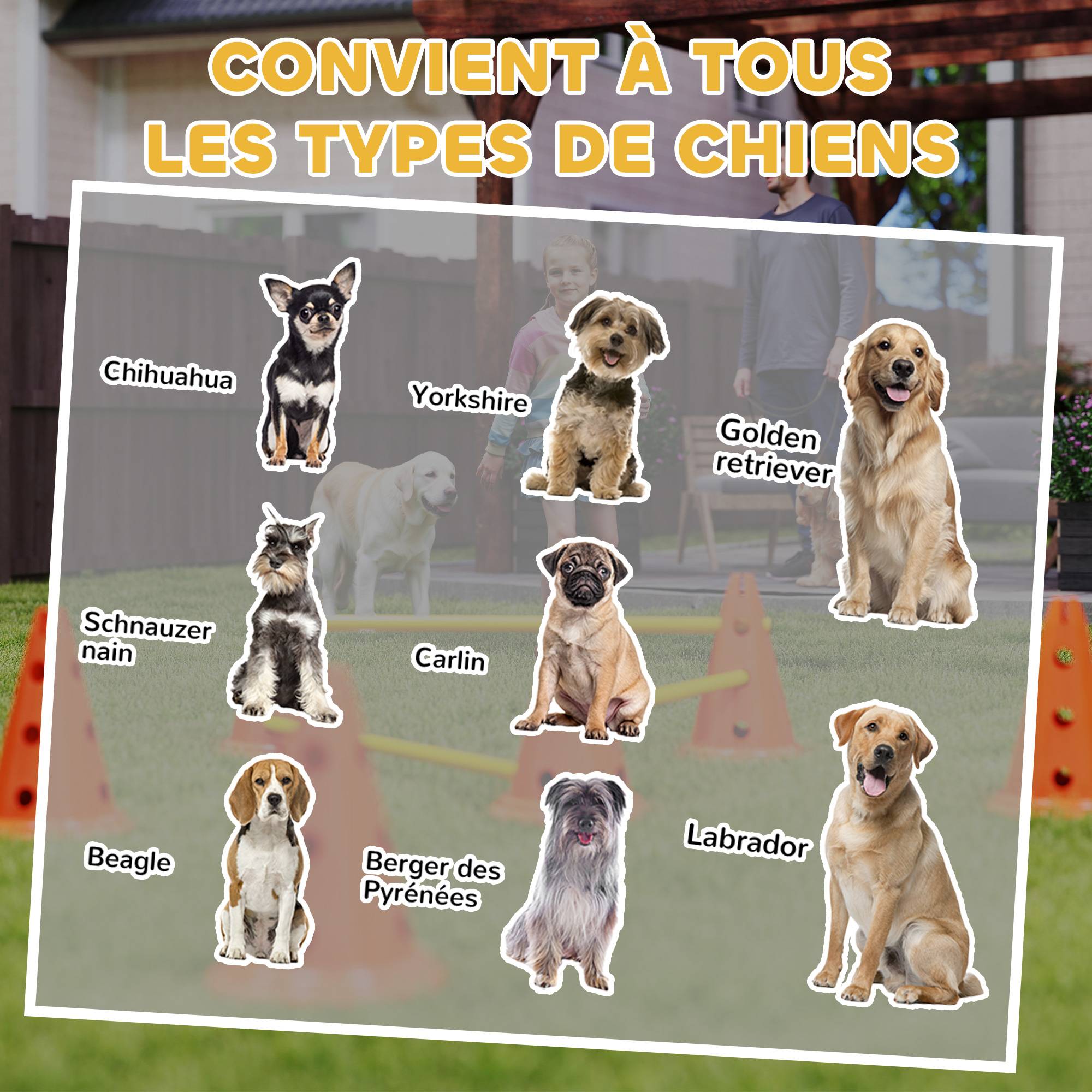 Obstacles d'agilité pour chien ABS orange 80 x 22.5 x 30 cm - PANGIVO - Image 10