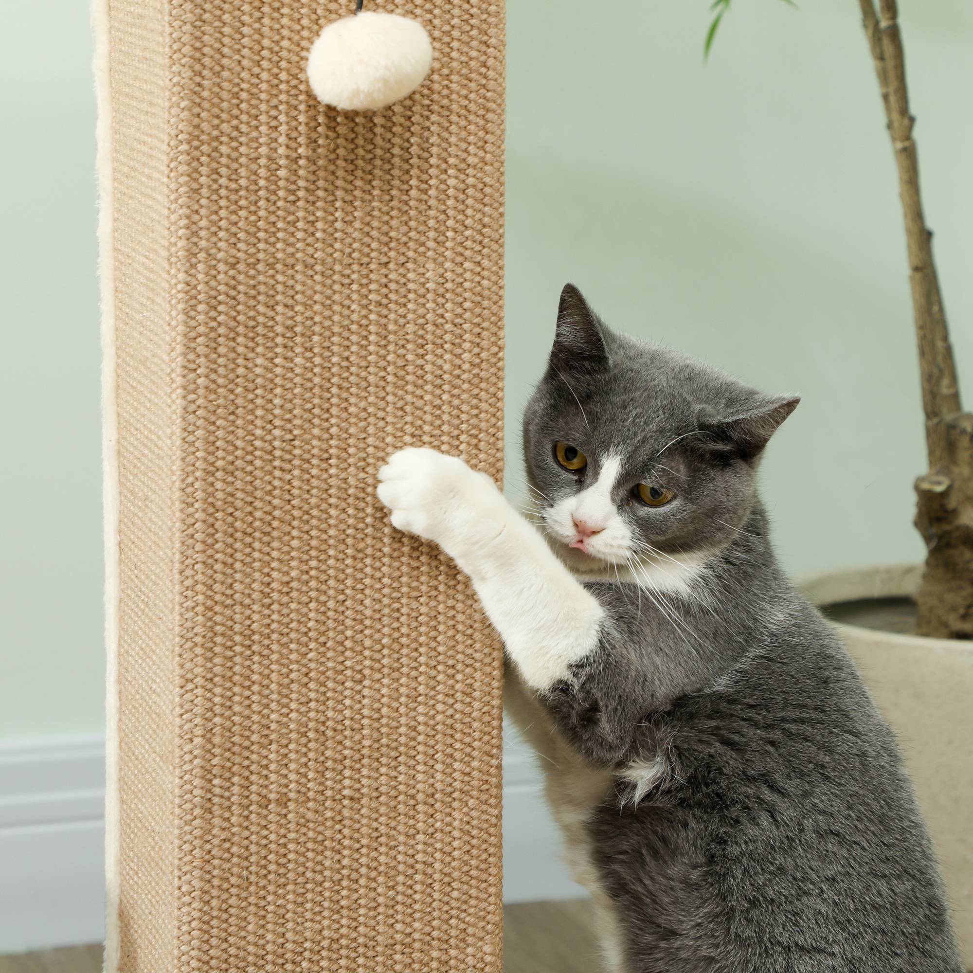 Griffoir pour chat, hauteur 81 cm, avec poteau en jute et balle suspendue, 41 x 41 x 81 cm, beige - Image 9