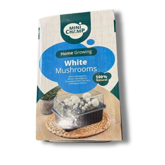 mini champ - Kit culture champignons de Paris Blanc Minichamp 3 litres - Image 1