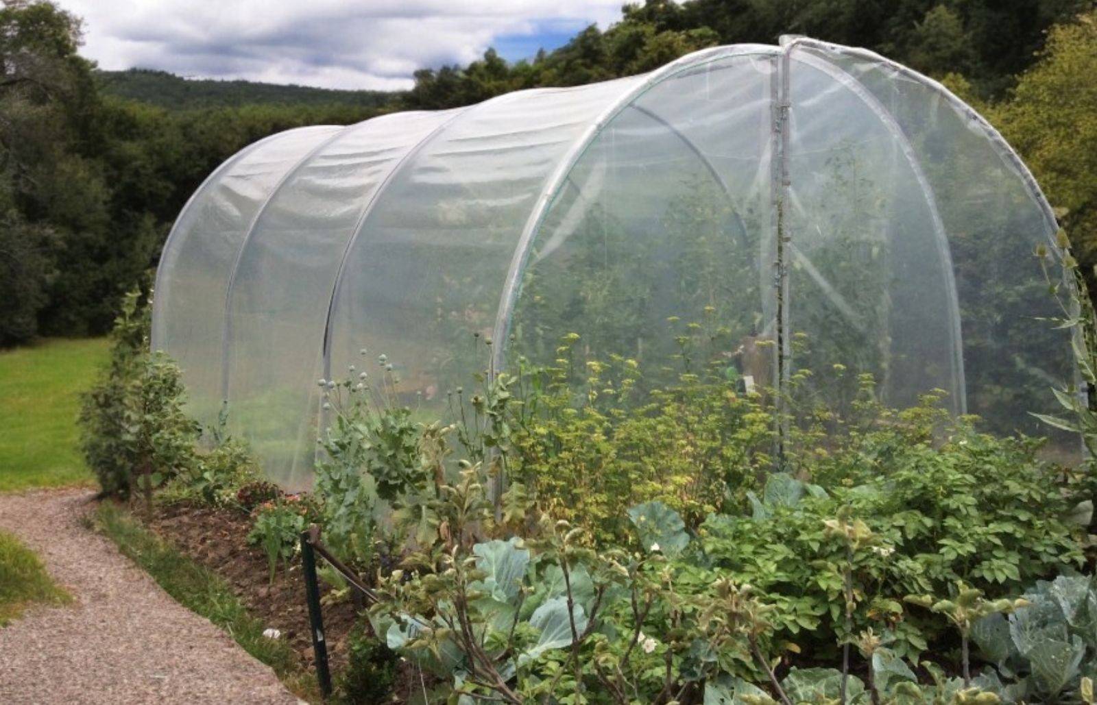 Serre tunnel de jardin - 18m² - 3 x 6 m - pieds arrondis - polyéthylène haute densité - 2 portes pivotantes - LES SERRES TONNEAU - Image 3