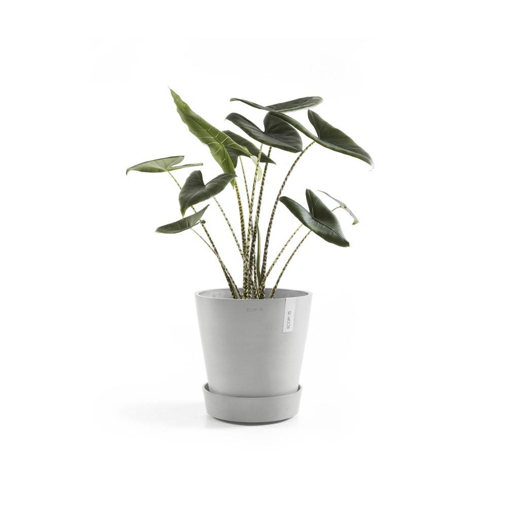 Ecopots - Support à roulettes Wheels 60 Blanc Gris - Ø 51 x H. 12,4 cm ECOPOTS - Image 2