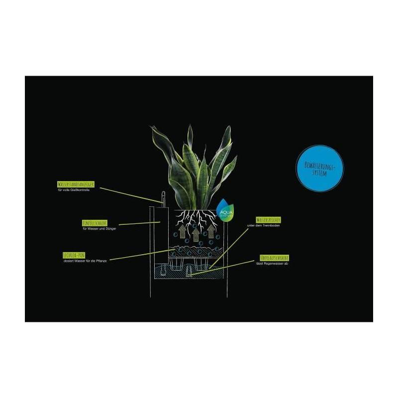 Lechuza - Pot De Fleur Lechuza Canto Stone Colonne 40 - Kit Complet, Blanc Quartz - Image 4