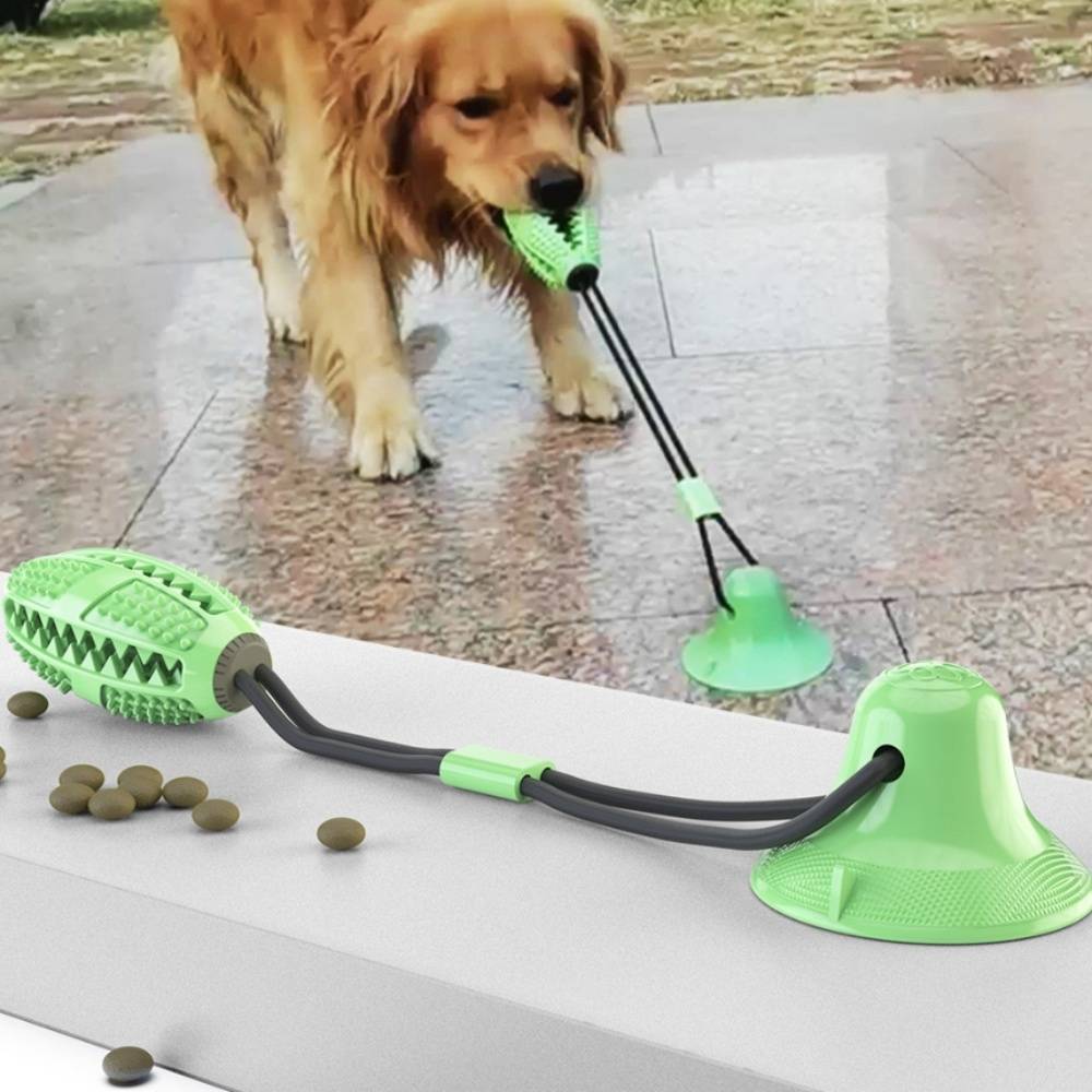 IntiMeg - Jouet pour chien avec boule à ventouse et nœud Vert IntiMeg - Image 2