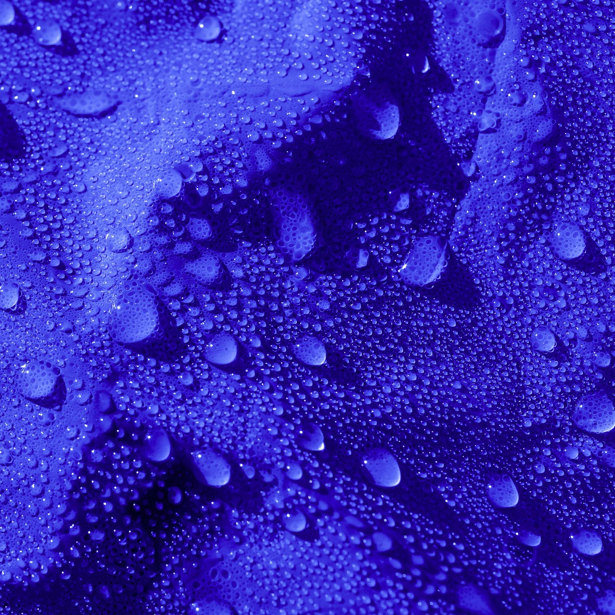 Ecd-Germany - Bâche de Protection Premium avec Œillets + 10 Crochets, 5x3m 15m², 650g/m², Bleu, Tissu PVC, Indéchirable, Imperméable - Image 4