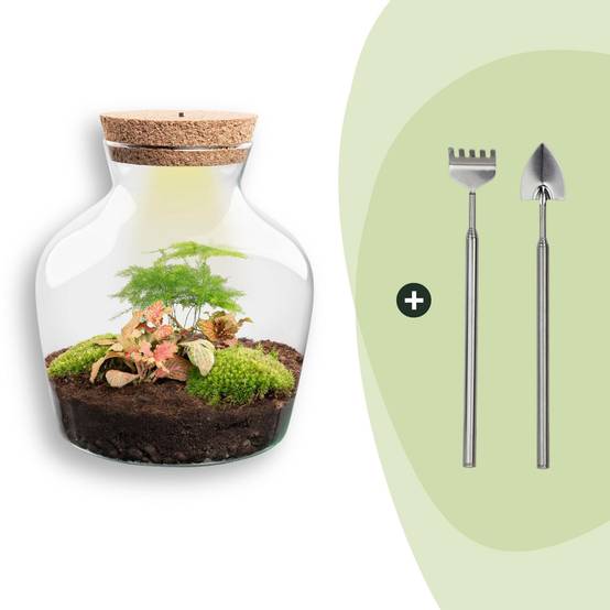 Terrarium à composer bouteille en verre recyclé - Ø20-H22cm - avec râteau et pelle - Terrarium DIY - Image 1