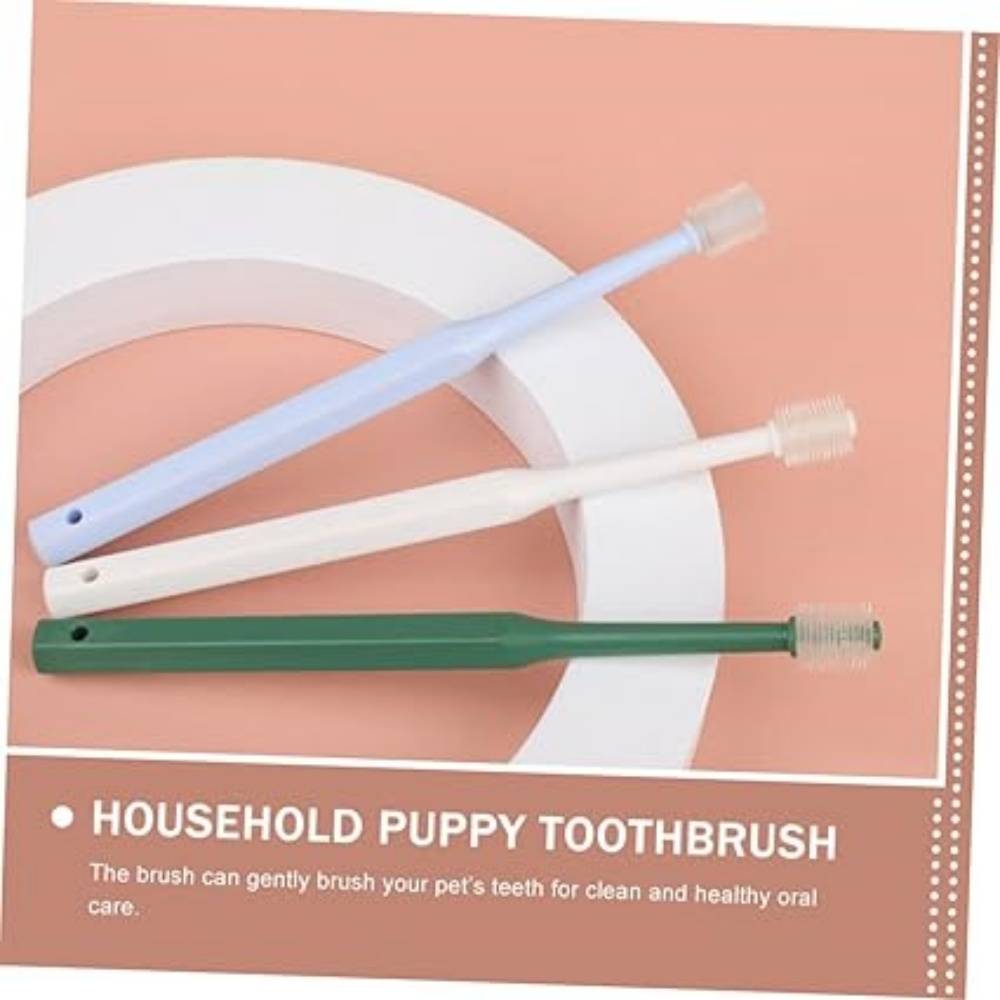 DtopbuyAge - 4 Pièces Pour Nettoyer Dents De Chat DtopbuyAge - Image 4