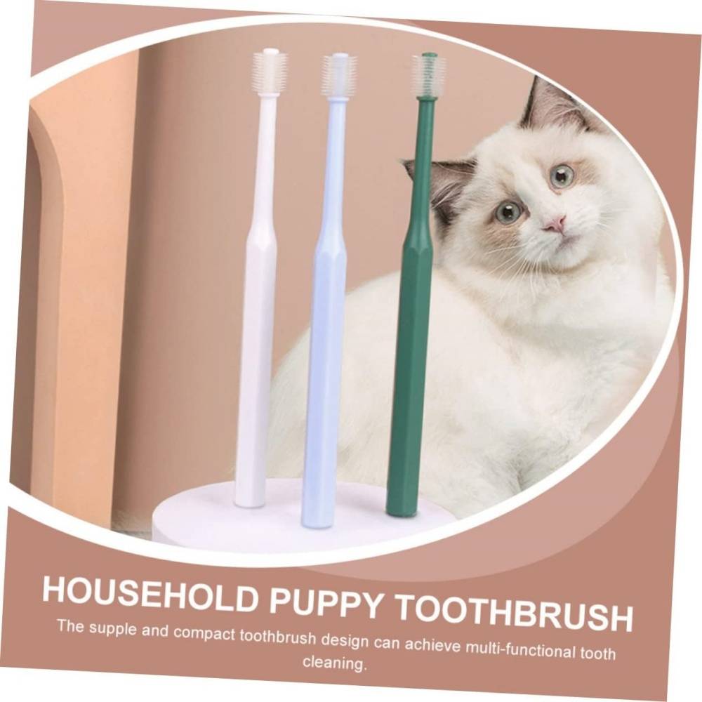 DtopbuyAge - 4 Pièces Pour Nettoyer Dents De Chat DtopbuyAge - Image 5