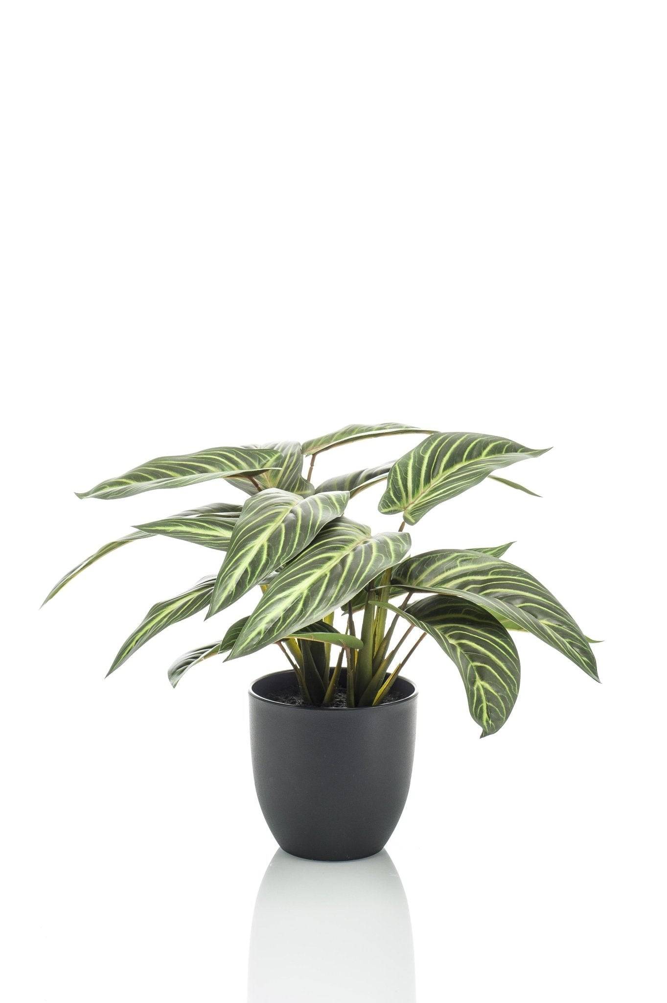 La Green Touch - Calathea Zebrina plante artificielle - h38cm, Ø15cm- La Green Touch - Image 6