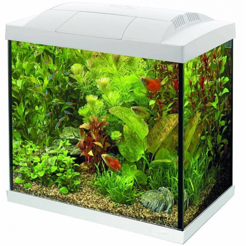 Superfish - Aquarium Start 30 verre blanc 36 x 22 x 37 cm - SUPERFISH