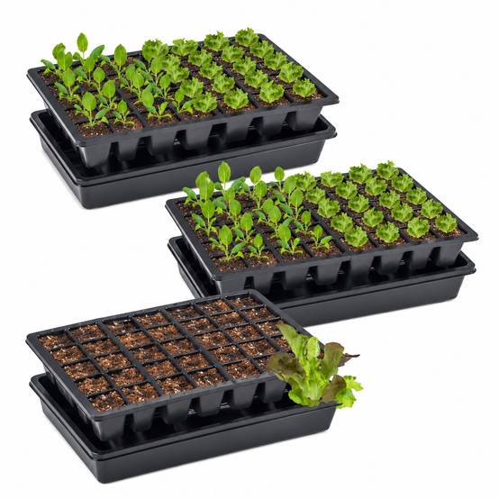 Plateau de Semis avec Sous-Coupe Lot de 3 - Image 1