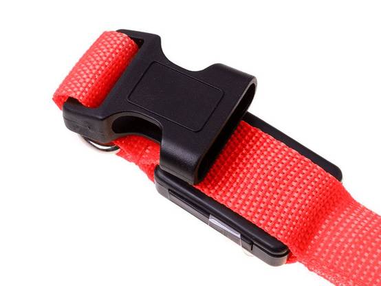 Collier d'éclairage led pour chiens et chats adjustable 59cm - Image 3