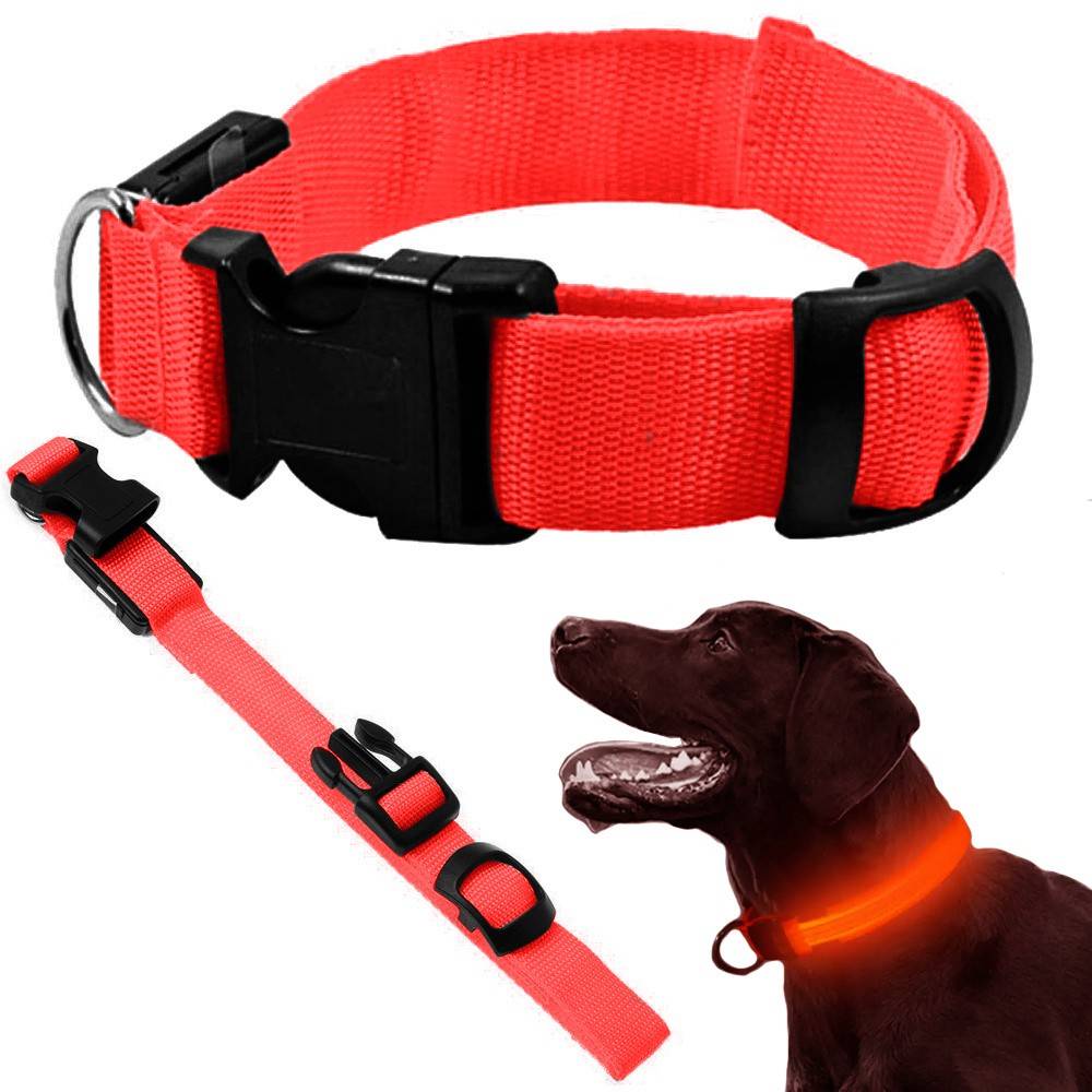 Collier d'éclairage led pour chiens et chats adjustable 59cm - Image 1