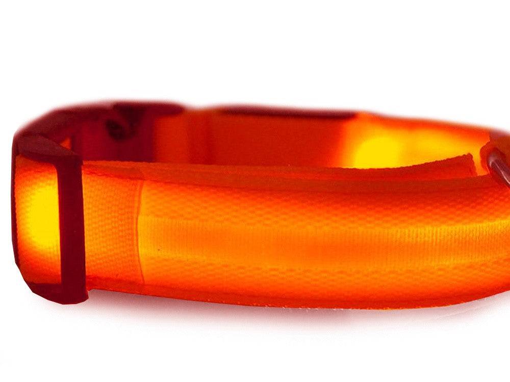 Collier d'éclairage led pour chiens et chats adjustable 59cm - Image 5