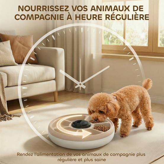 Distributeur automatique de nourriture plastique blanc 31.5 x 31.5 x 8.3 cm - PANGIVO - Image 8