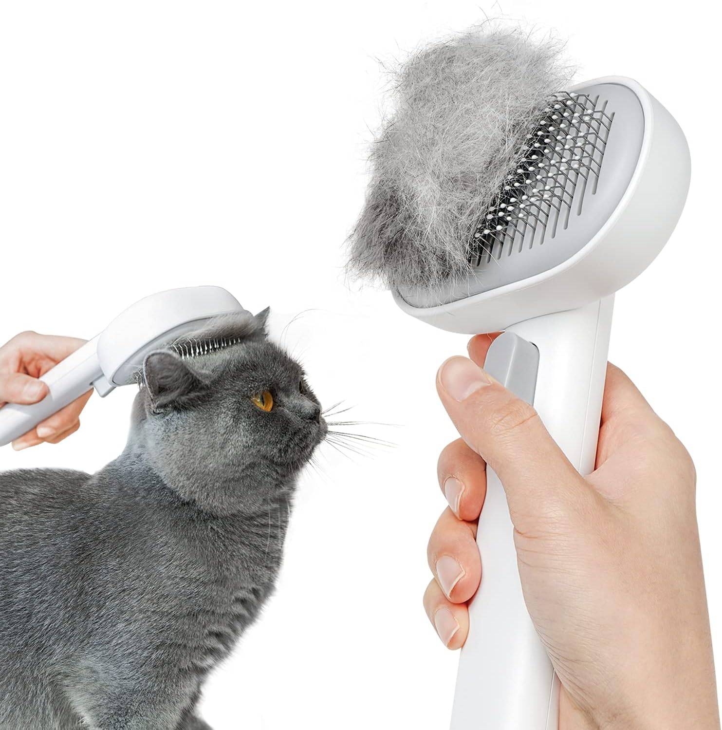 Brosse Chat Autonettoyante pour Chat