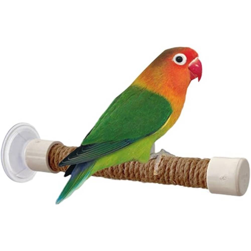 Perchoir Ventouse Accessoire Oiseaux - Image 1