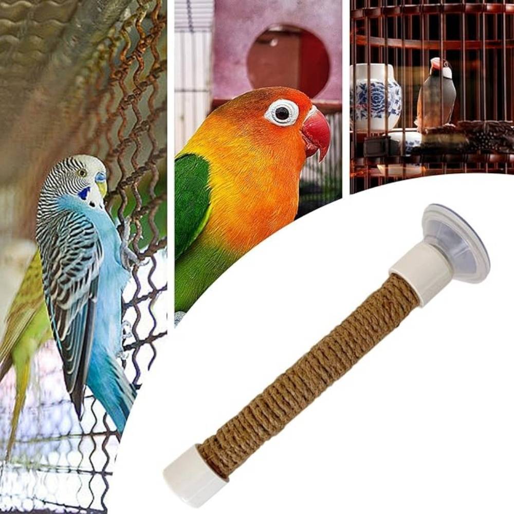 Perchoir Ventouse Accessoire Oiseaux - Image 3