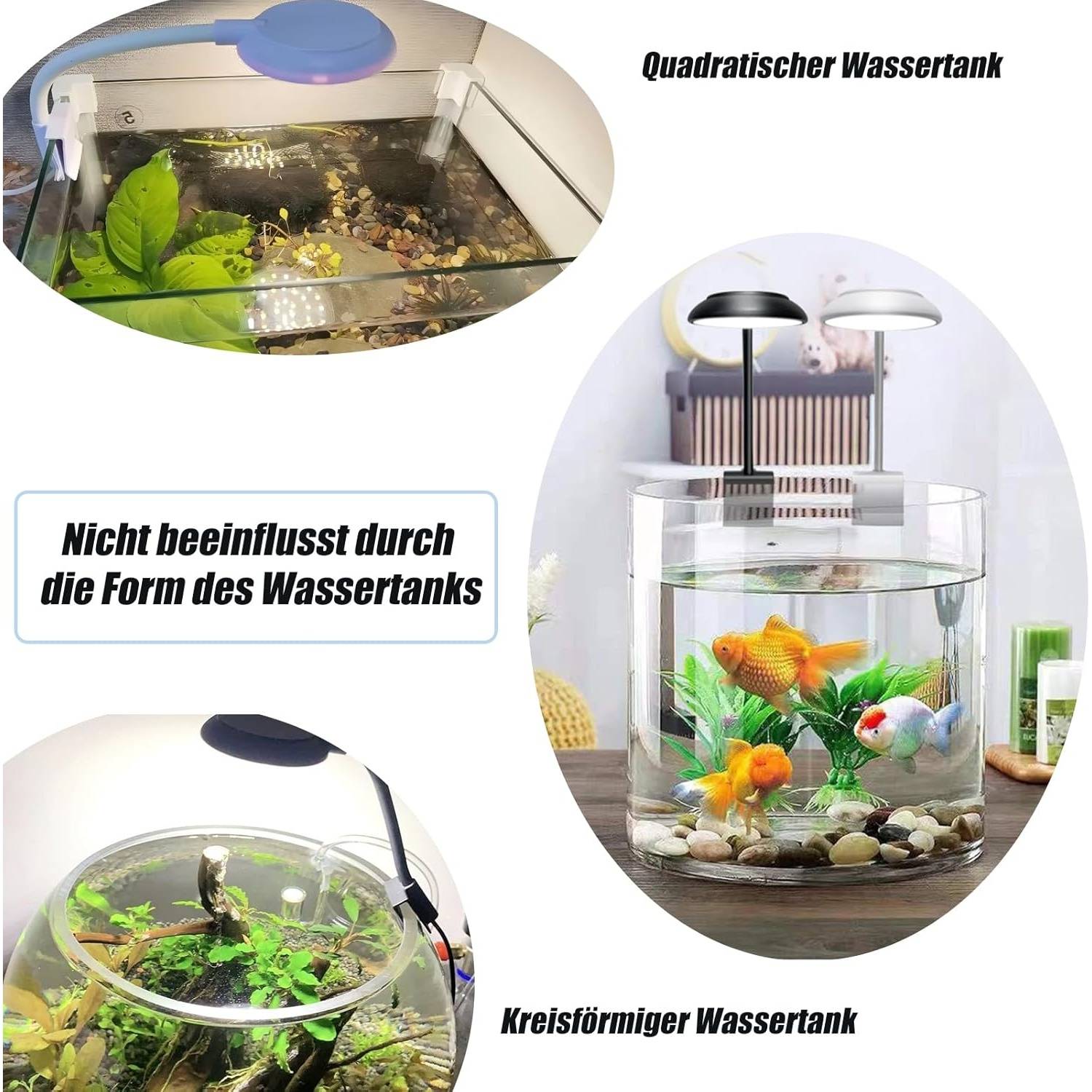 DtopbuyAge - Lampe d'Aquarium LED 7W Blanc/Bleue DtopbuyAge - Image 2