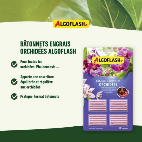 Algoflash - BATONNETS ORCHIDEES - Image 2