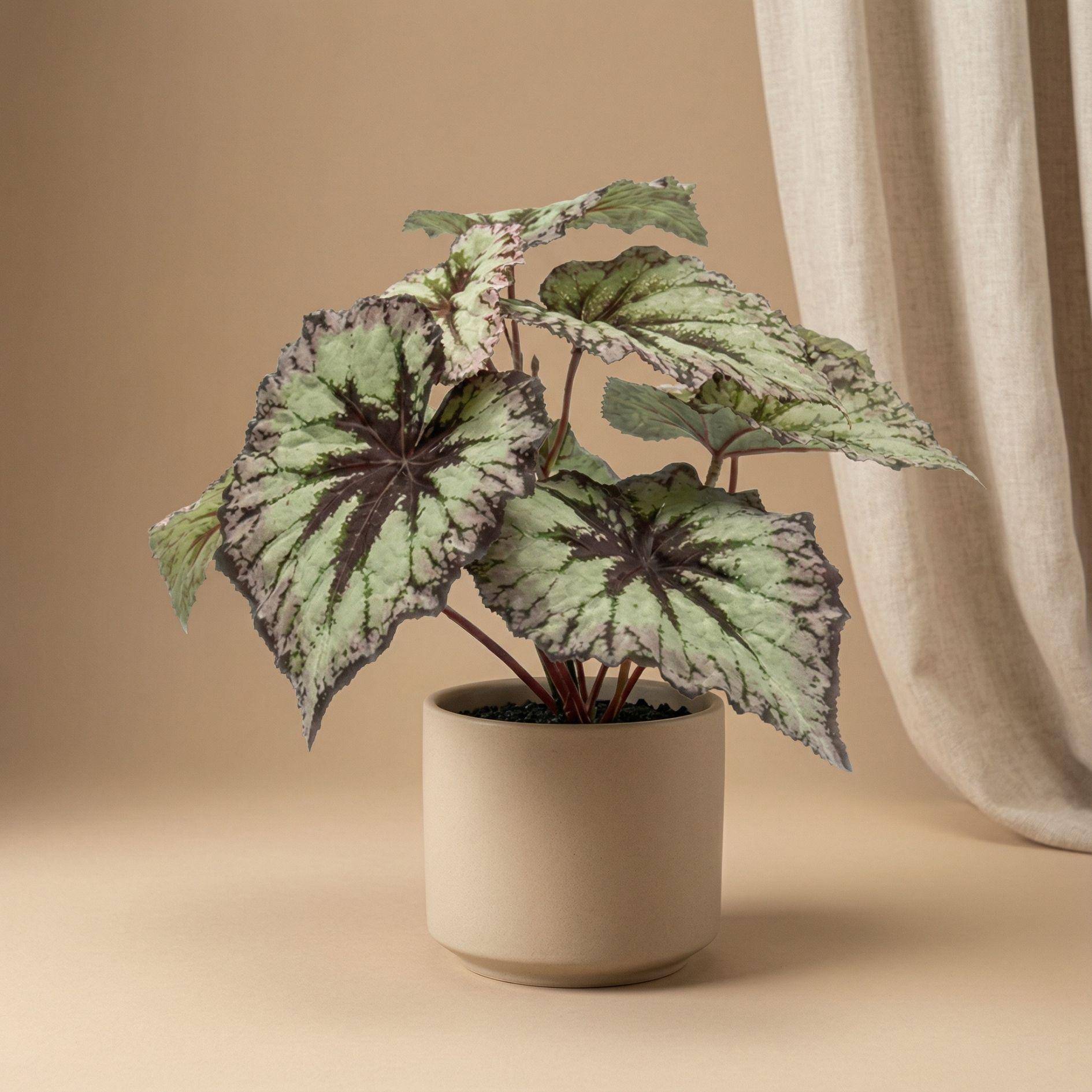 Begonia 26 cm - Ø10cm - Plante artificielle - Image 4