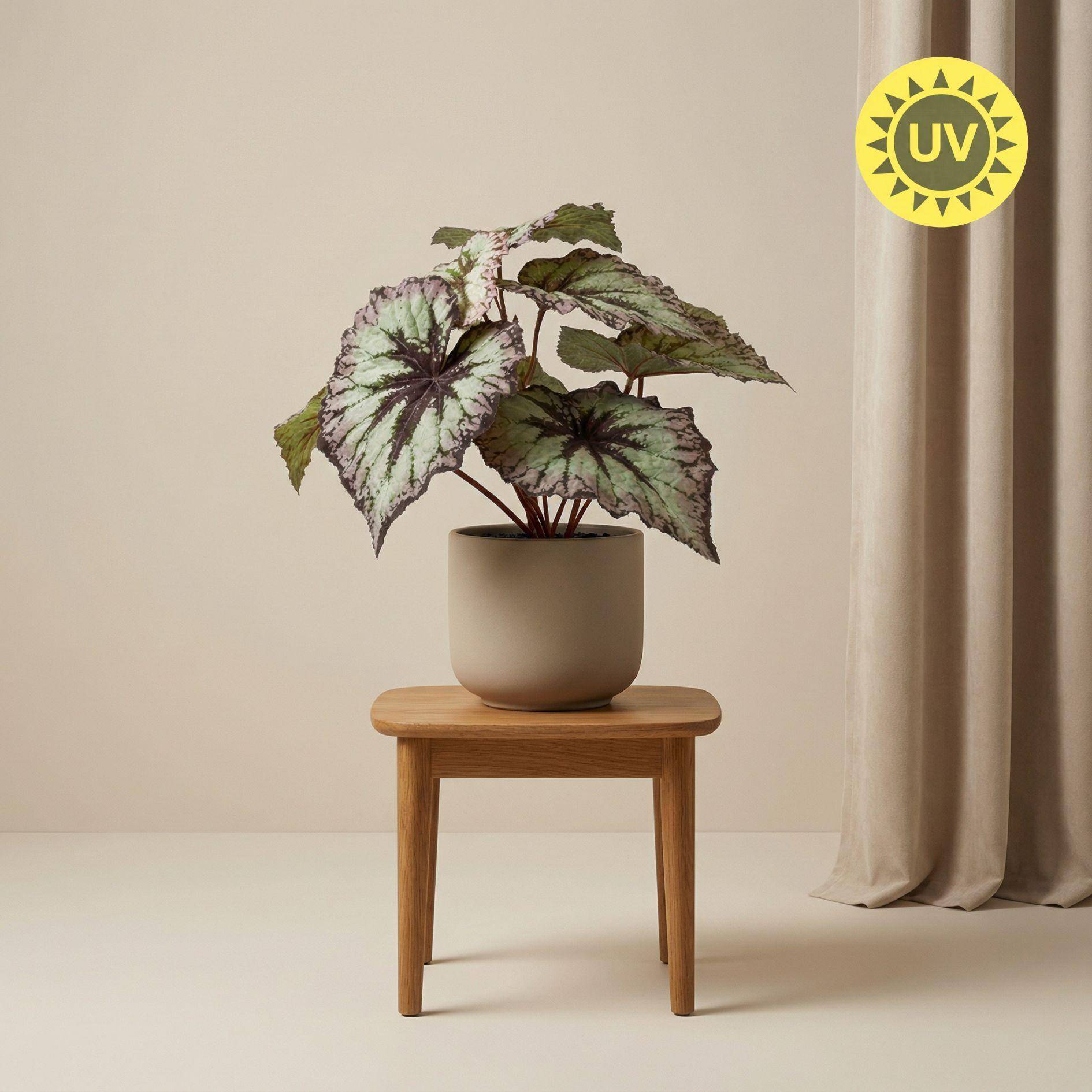 Begonia 26 cm - Ø10cm - Plante artificielle - Image 1