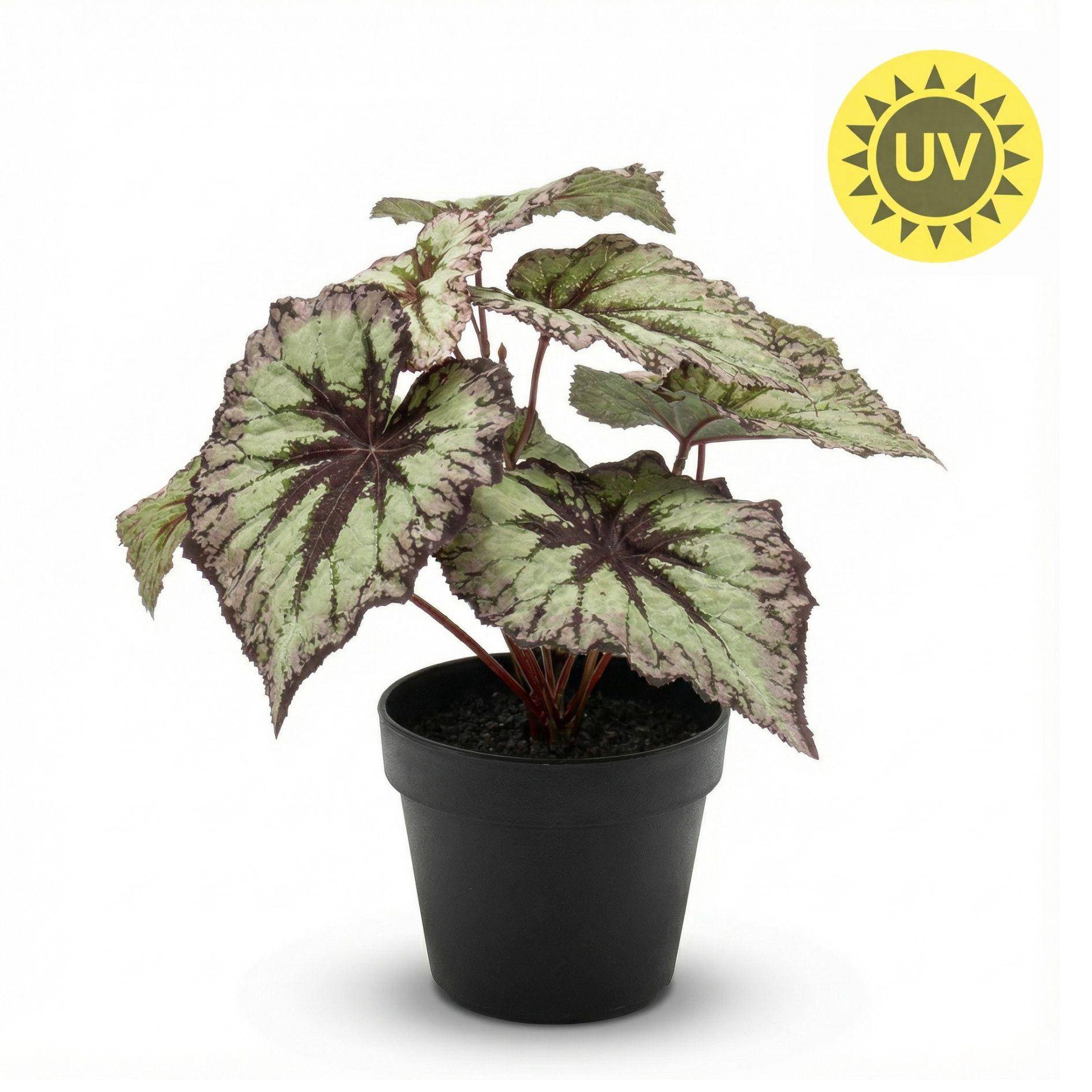 Begonia 26 cm - Ø10cm - Plante artificielle - Image 2