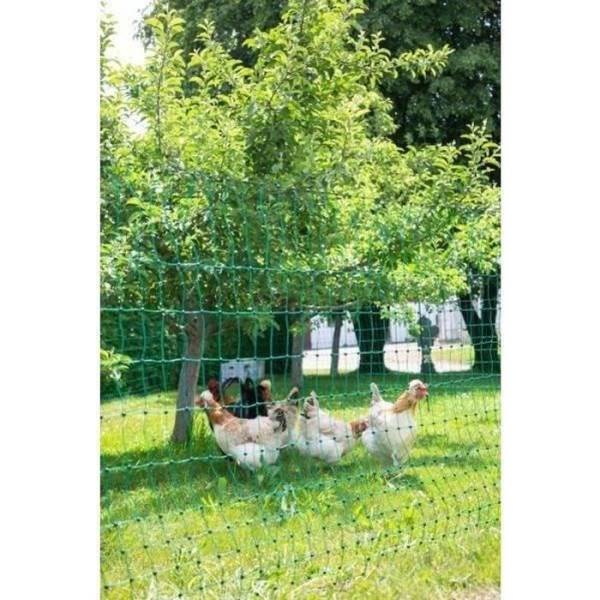 KERBL - Filet pour les poules 50 m - 106 cm - double pointe - vert - non électrique - Image 1
