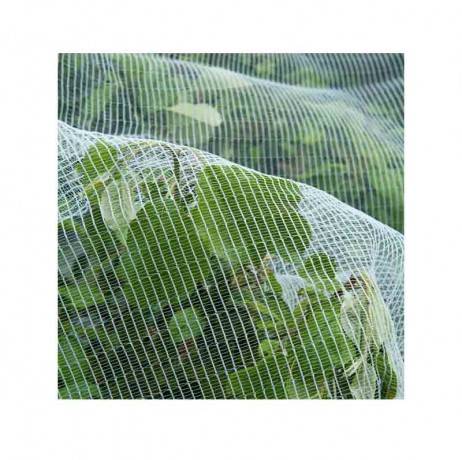 Nature - Filet anti-insectes arbres fruitiers 5,20 x 5m - Image 2