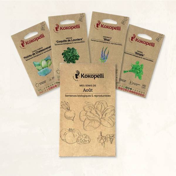 Mes semis d'août - 4 sachets de graines bio à semer- Association Kokopelli - Image 2