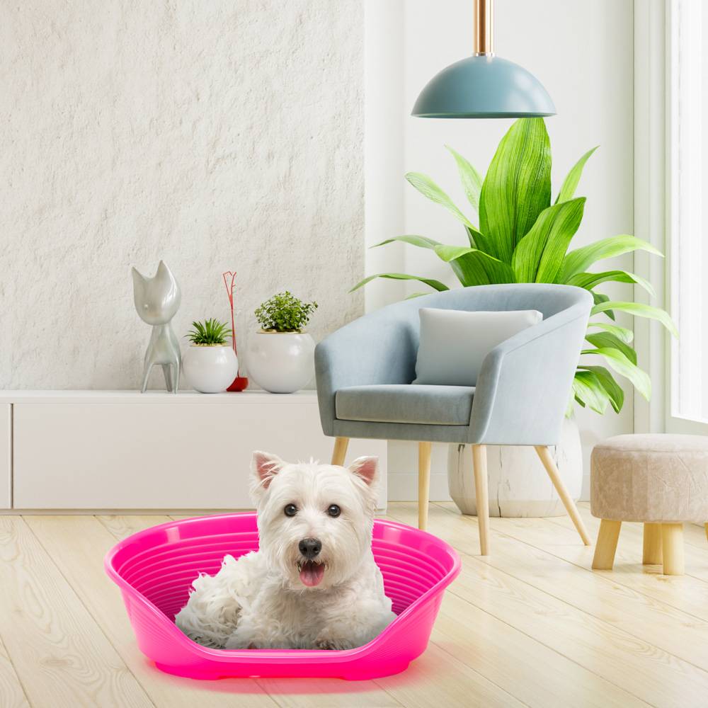 Ferplast - FERPLAST - Panier Chien Panier Chat  - Lit pour Chien en Plastique Small - 100% Plastique Recyclé - Lit pou Chat Lavable - Respirant  Antidérapant - - Image 4