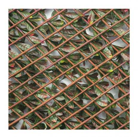 James Grass - France Green - Treillis extensible feuillage photinia, Long 6 m, Hauteur 1 m - Image 2