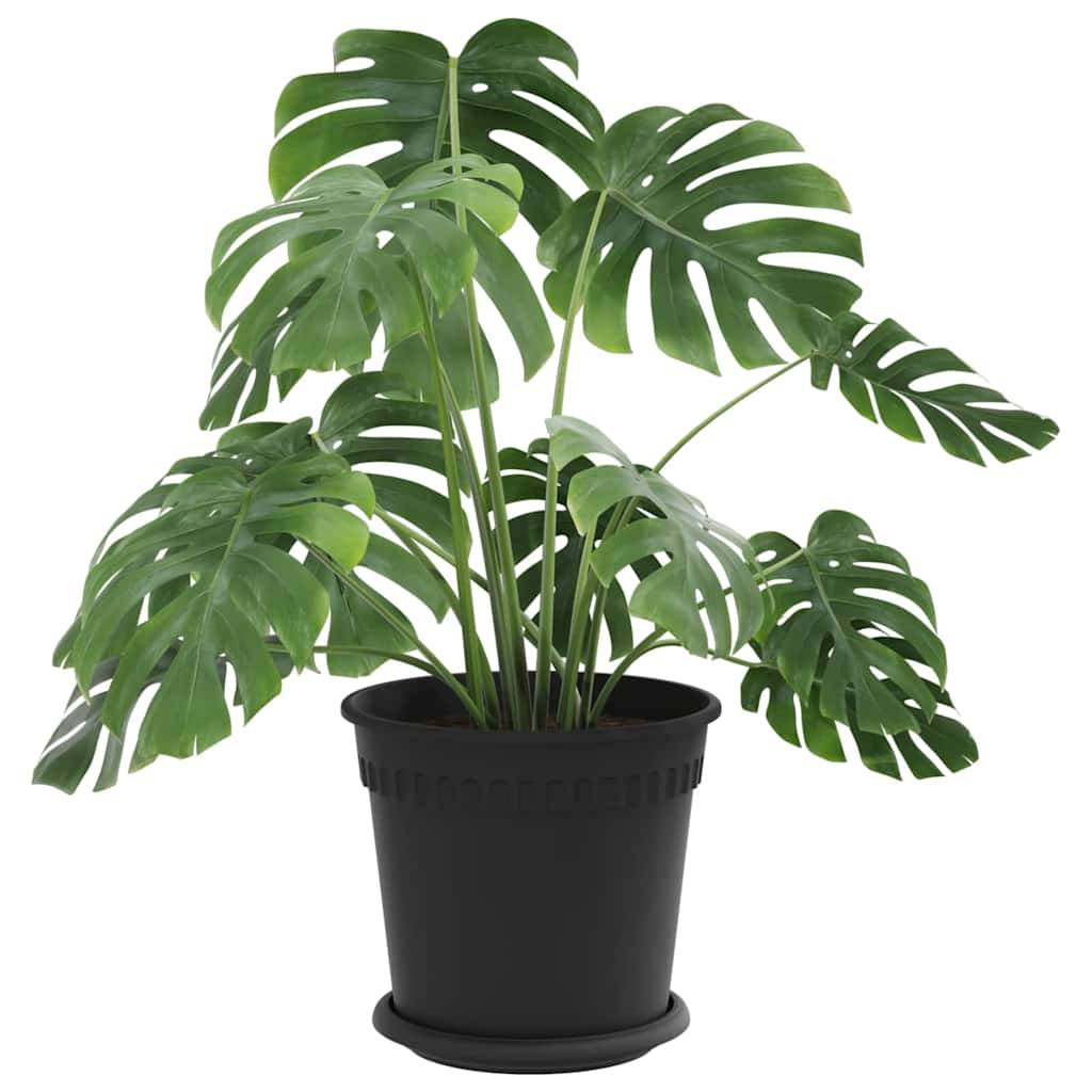 Vidaxl - Pots de plantes 24 pc Noir Plastique vidaXL 3403269 - Image 4