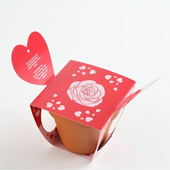 Radis et Capucine - Radis et Capucine - Pot en terre cuite - Amour - Rosier - 8 cm - Image 3