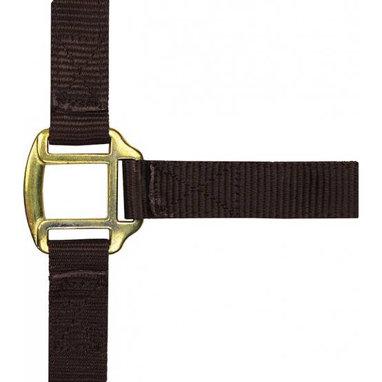 Norton - Licol nylon marron doublé cuir pour cheval - Image 1