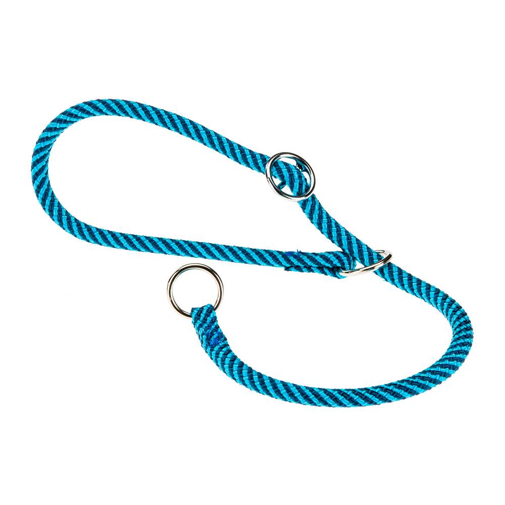 Ferplast - Collier Semi-étranglé pour Chiens SPORT EXTREME CS8/50, Longe en Nylon Robuste, Ajustable, Azur-Bleu - Image 1