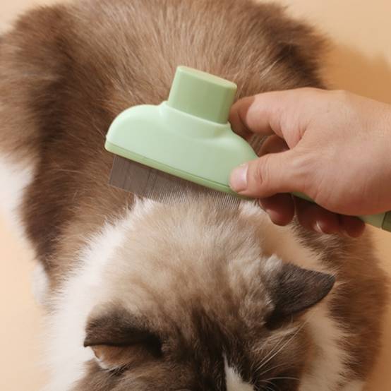 IntiMeg - Peigne à poux pour animaux Vert IntiMeg - Image 5