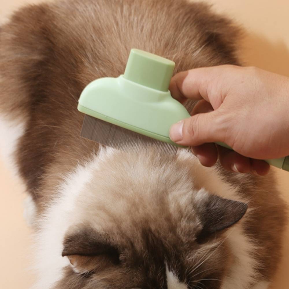 IntiMeg - Peigne à poux pour animaux Vert IntiMeg - Image 5