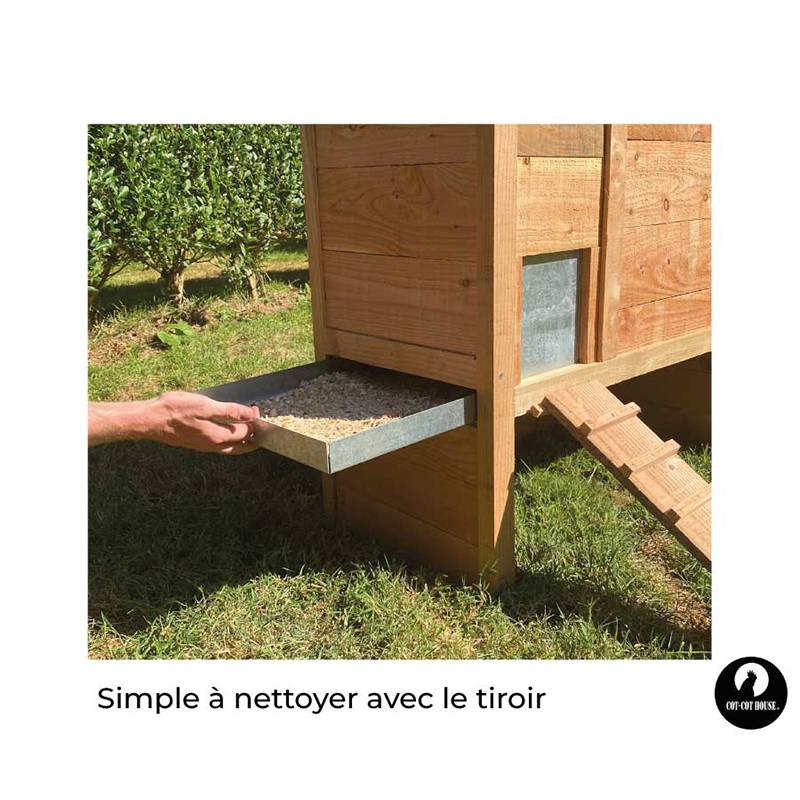 Poulailler 2 poules pratique et solide - modèle sebright - Cot Cot House - Image 3