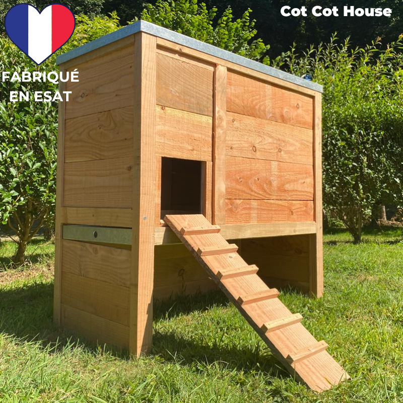 Poulailler 2 poules pratique et solide - modèle sebright - Cot Cot House - Image 1