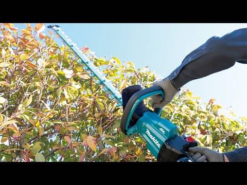 Taille-haie 60 cm 18V LXT - MAKITA - avec 2 batteries 18V 5.0Ah - Chargeur - DUH602RT2 - Image 7