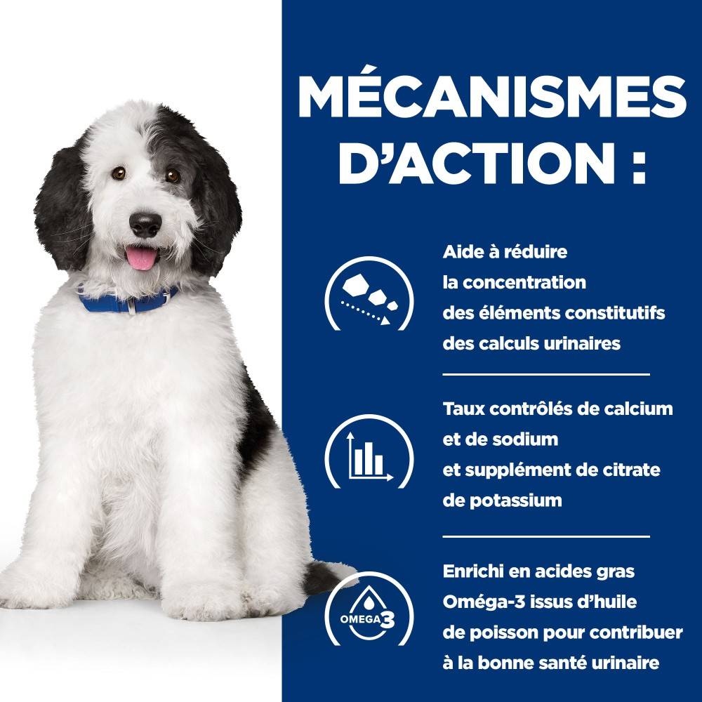 CROQUETTES CHIEN ADULT PRESCRIPTION DIETS C/D URINARY - HILL'S 4 kg - Image 5