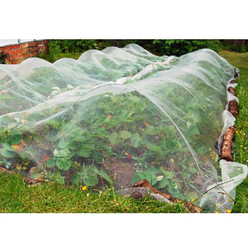 Dare Win Store - Filet de protection contre les insectes 3x15 m - Image 1