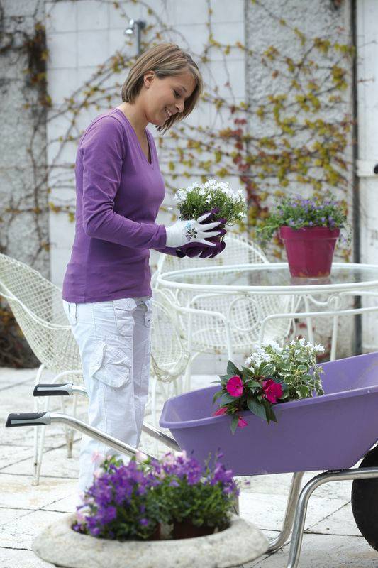 Rostaing - Gant fin multi-usages latex NERINE - ROSTAING - 7 - S - Image 2