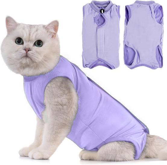 Combinaison de Récupération pour Chat Anti Léchage Lavande M