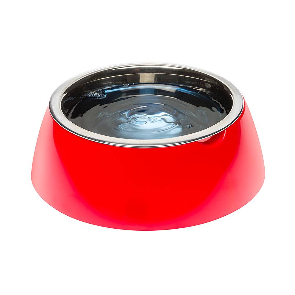 Ferplast - Ferplast Gamelle pour chien Gamelle pour chat Jolie - Gamelles pour chien en acier inoxydable pour l'eau et la nourriture avec support en plastique, - Image 4