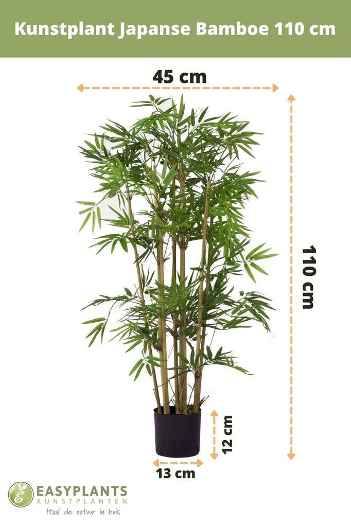 La Green Touch - Orchidée Bordeaux et son pot- La Green Touch Cognac - Hauteur 35cm - Image 4