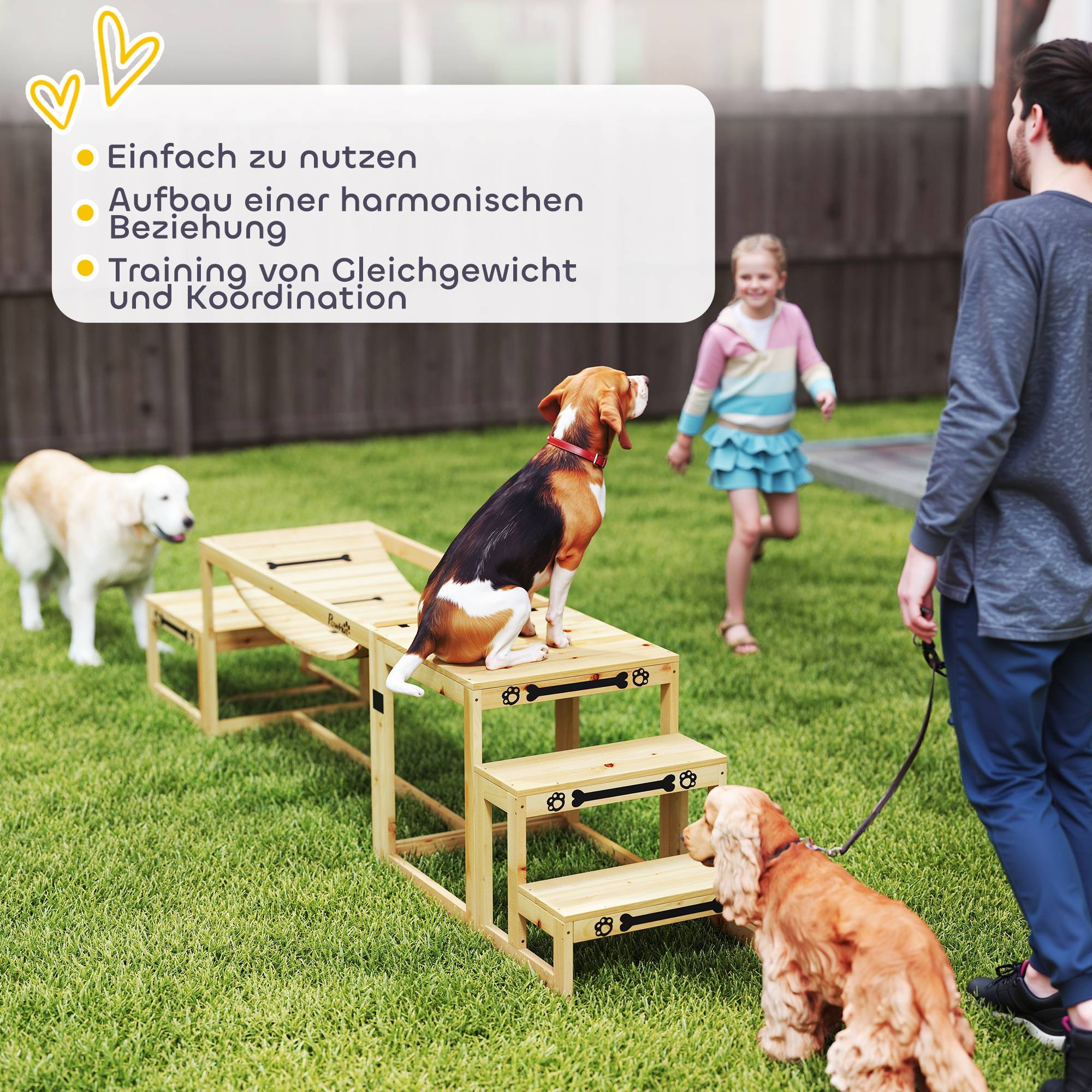 ComfortXL - Parcours agilité chien bois de sapin 3 modules jusqu’à 40 kg entraînement équilibre - ComfortXL Outdoor Living - Image 7