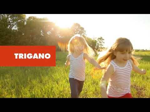 Trigano - Portique XALTO bois/métal 2,30 m - 2 balançoires + 1 échelle + toboggan Trigano - Image 4