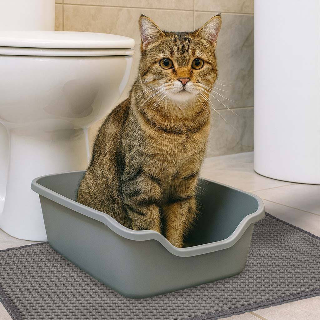 Litière pour chat tapis imperméable double couche 40x60cm - Image 9